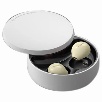 Mini X21S Bluetooth 5.0 Vezeték nélküli Fülhallgató Vezeték nélküli Töltés Esetben Láthatatlan Mini Bluetooth Fülhallgató Bőr Tónusát